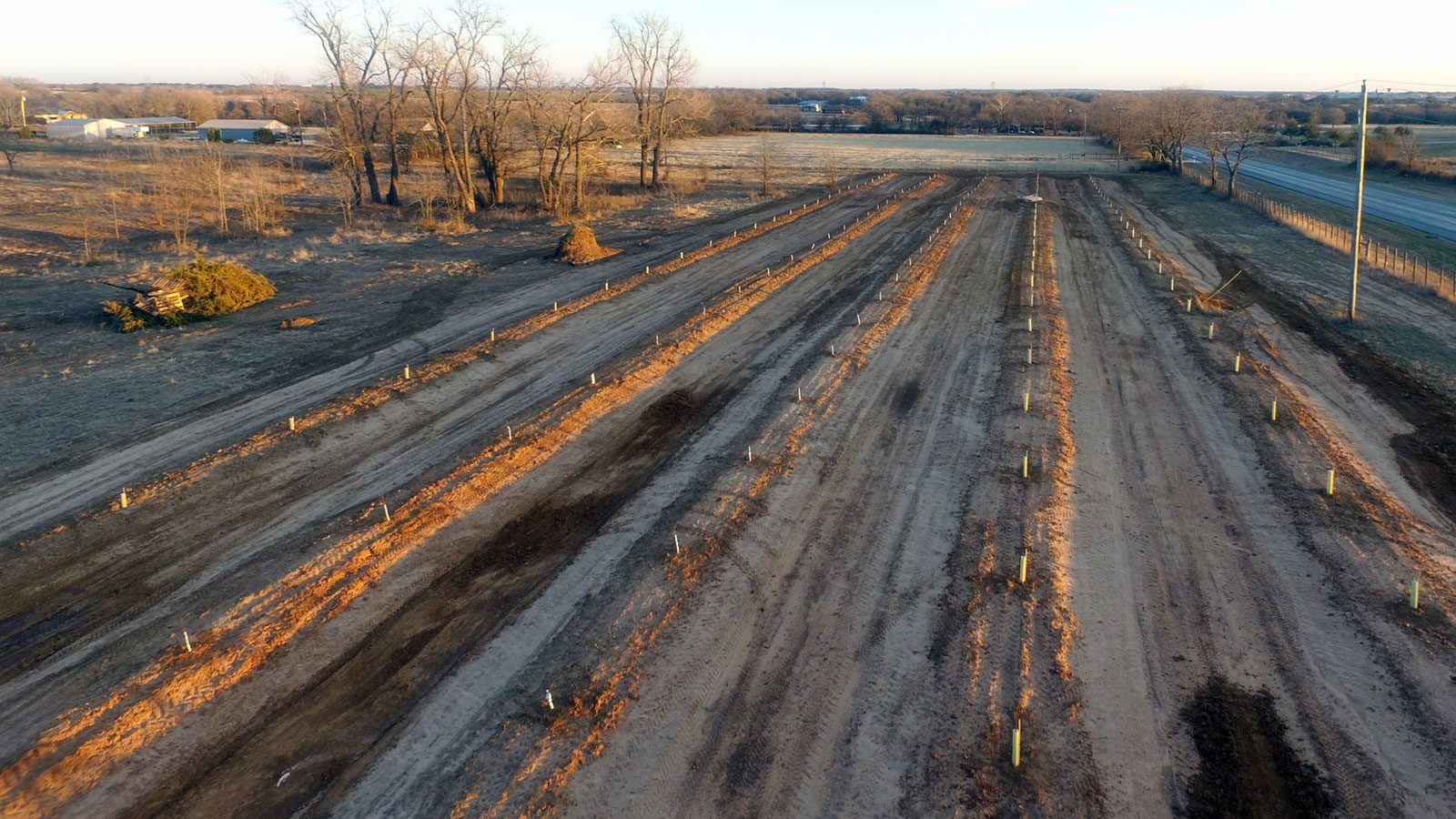 The Peach orchard after planting