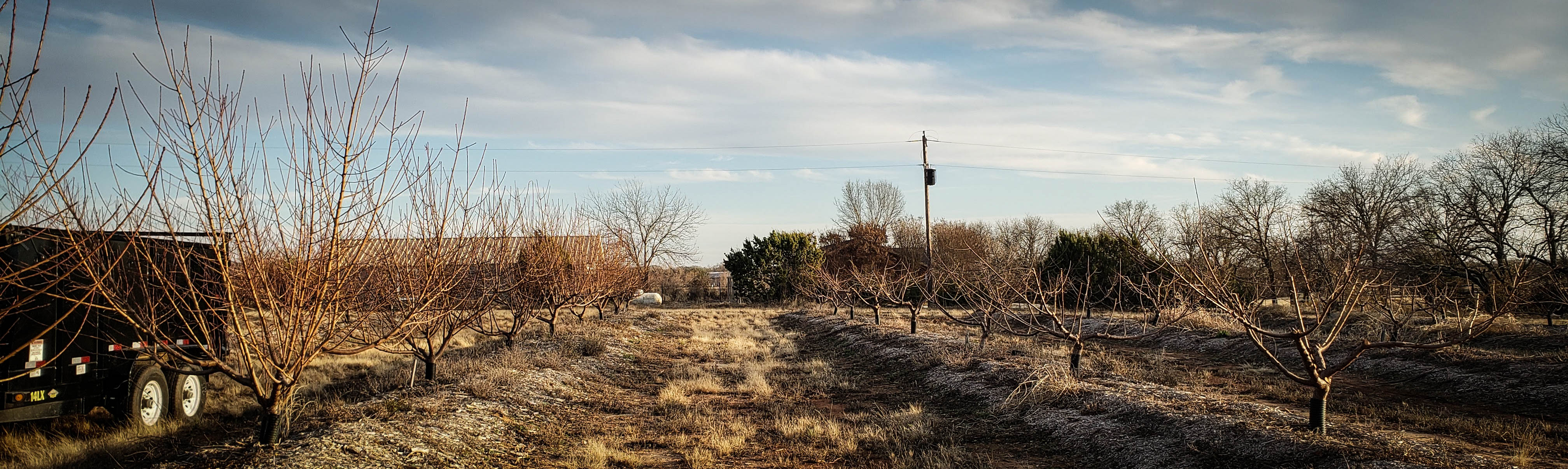 Winter Pruning Takes Forever