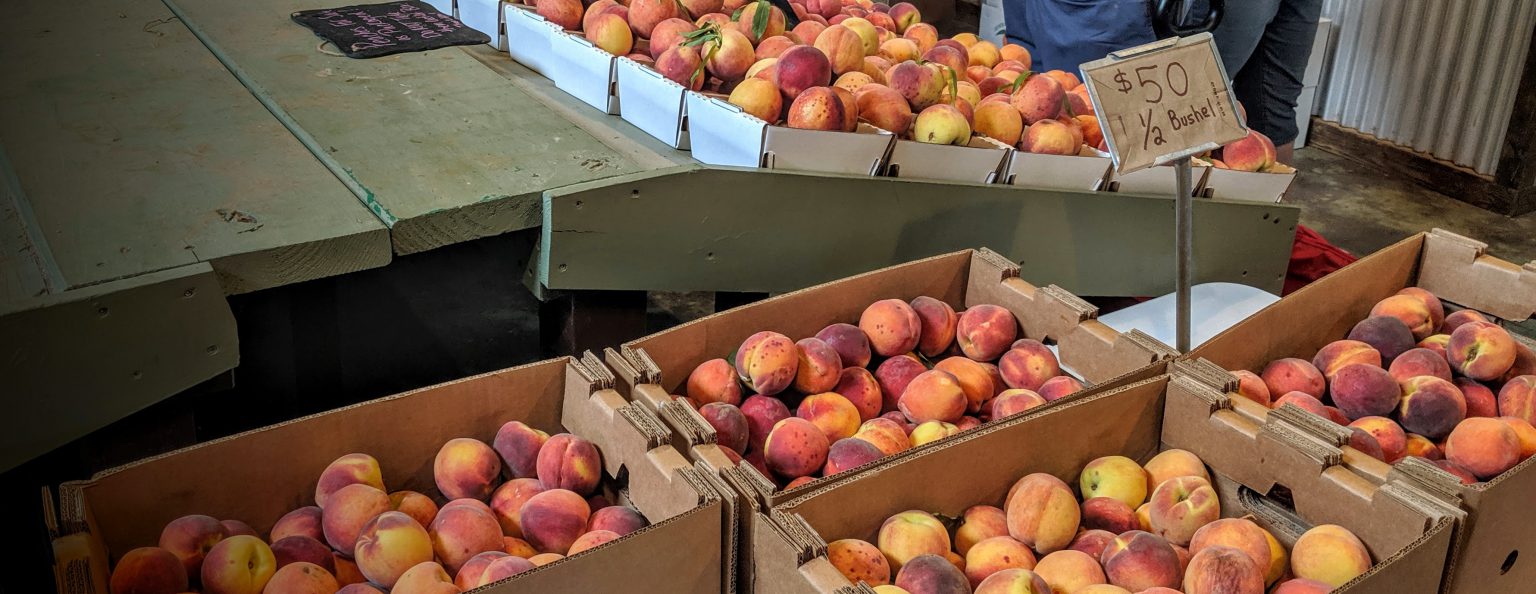 What Do I Spray On Peach Trees? The Orchard Stephenville