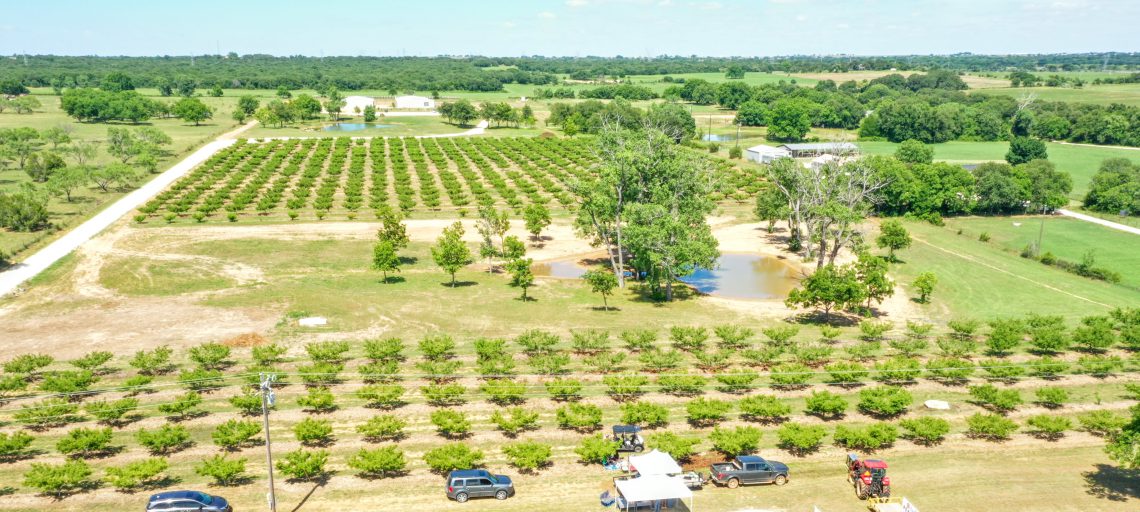 So you want to start a peach orchard?